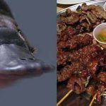 platypusfeat