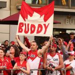 swans fans