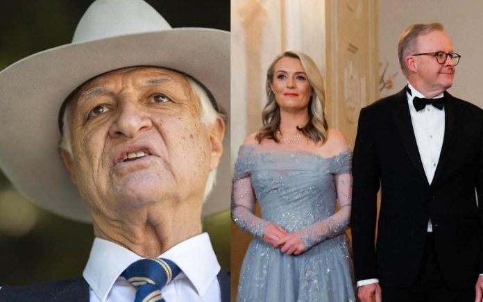 Katter albo sin