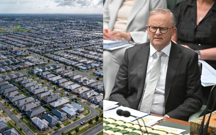 shithole suburbs
