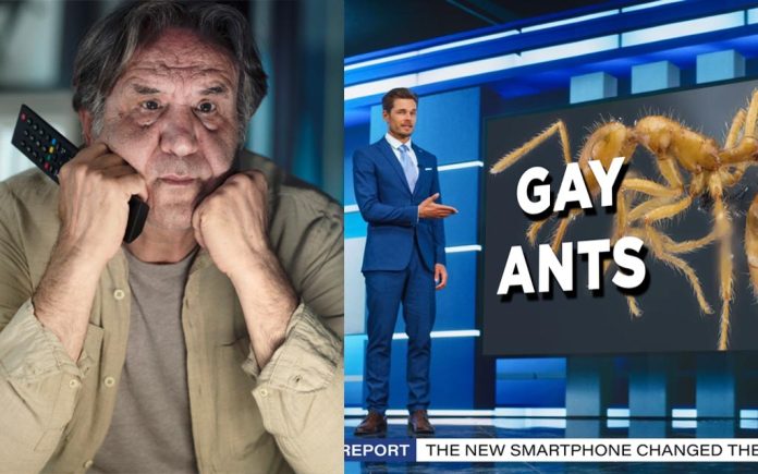 gayants