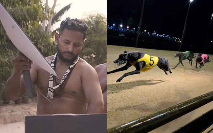 dogs