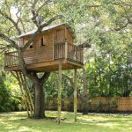 The-treehouse
