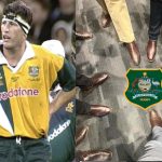 Wallabies-image