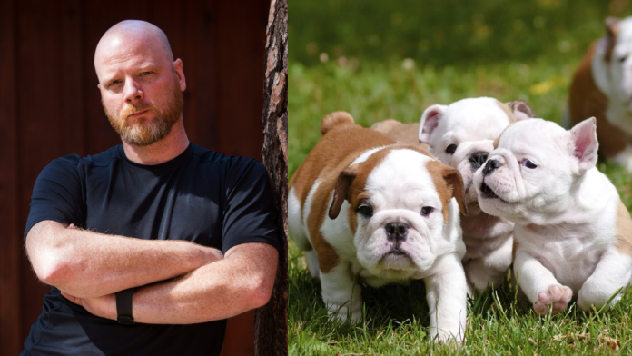 puppies