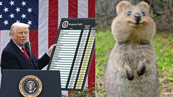 quokka