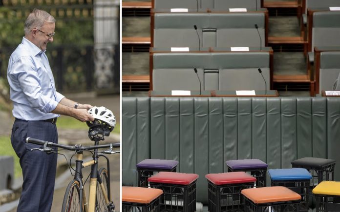 albo cushioned seats
