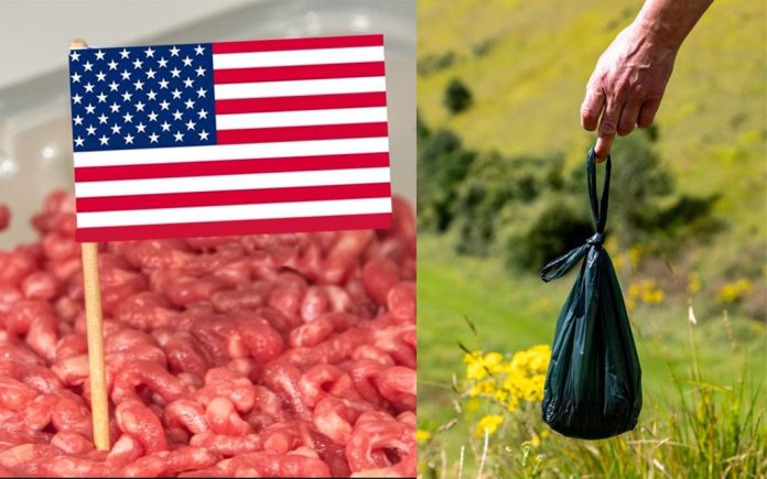 dogshit mince