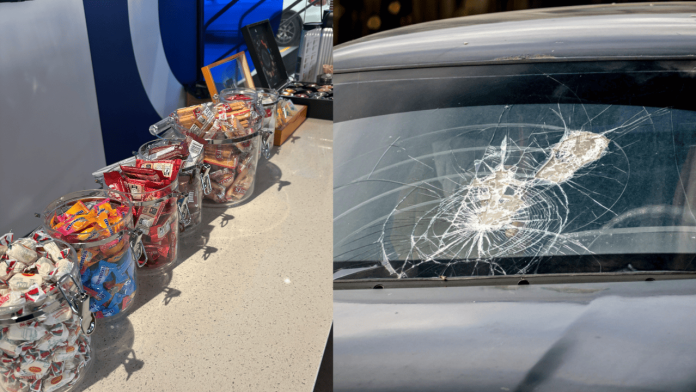 windscreen-2-2