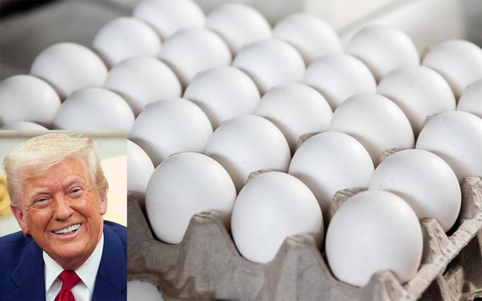 wierd american eggs